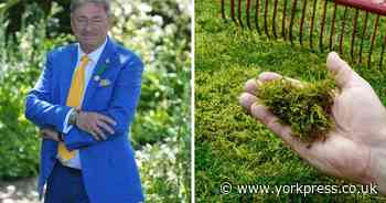 Alan Titchmarsh’s simple tips to get the perfect lawn – from moss to bald patches