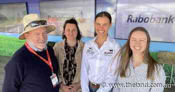 Gut bacteria holds clues to cattle health, thanks to Angus Foundation research