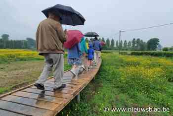 Hernedries zorgt voor uniek stukje natuur, een speelplek en buffer tegen wateroverlast: “Dat is de eerste stap naar Herne 2.0”