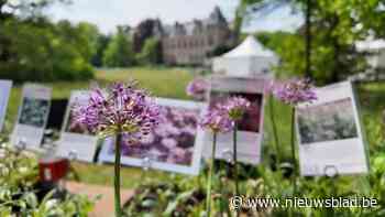 Eerste dag Tuinkriebels in Vrieselhof lokt tweeduizend bezoekers