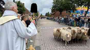 Dierenzegening en jaarmarkt brengen veel volk op de been