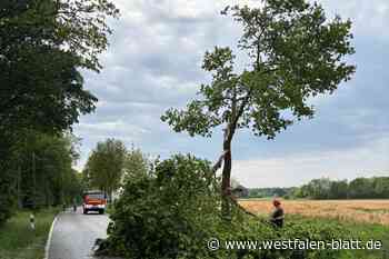 War es ein Tornado in Stemwede?