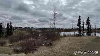 Calgary continues efforts to plant nearly a million trees, and better balance local canopy