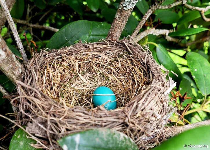 Young Writers Project: ‘Kindness, accidentally’