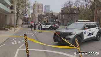 2 pedestrians run over while trying to retrieve dog: Toronto police