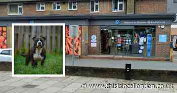 Man bitten whilst saving his dog from Staffie attack outside Shooters Hill Co-op