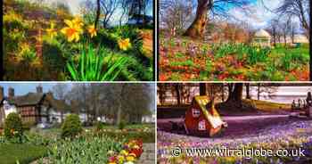 17 perfect pictures showing spring has sprung in Wirral parks