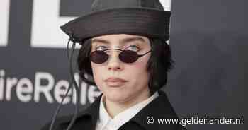 Meer dan duizend Billie Eilish-fans ‘s ochtends vroeg al in rij voor concert Ziggo Dome