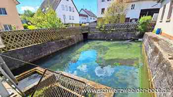 Hochwasserschutz in Gechingen: Wie soll die Bevölkerung vor den Fluten geschützt werden?