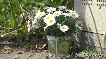 Junge Frau stirbt nach Mainacht-Unfall in Remscheid