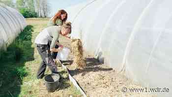 Solidarische Landwirtschaft: Was steckt dahinter?