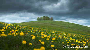 Advanced Masking Techniques for Striking Landscapes