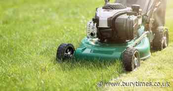 What is no mow May? The benefits and alternatives for a wildlife-friendly garden