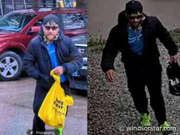 Windsor police search for suspect after duty free shop assault