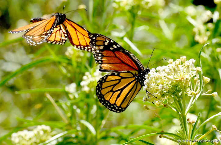 14 free and lovely ways to celebrate Mother’s Day 2025