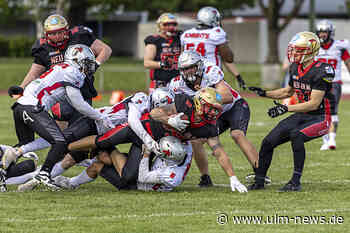 Spartans-Angriff für Knights nicht zu stoppen - American Football