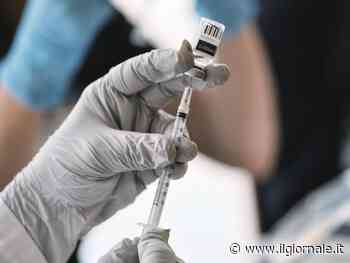 Tim, l’uomo che sfida il veleno dei serpenti per dare all umanità l’”antidoto universale”