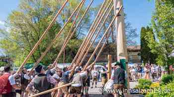 Unterwössens Maibaum-Spitze wird von den Dieben abgesägt - dann beginnt die Party