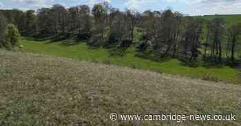 Beautiful nature reserve near Cambs with quaint café and pub and home to a rare flower