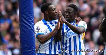 Yankuba Minteh celebration explained as furious Joe Willock words sum it up for Newcastle United