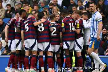 Newcastle United player ratings as dangerous star scores 8/10 and others struggle