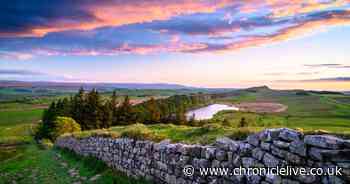 The best Northumberland camping sites for a 2025 summer escape named by visitors