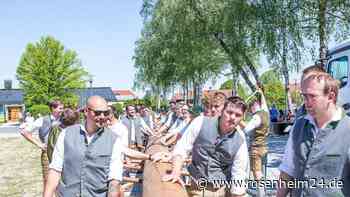 Nach elf Jahren war es wieder so weit: Rund um gelungenes Maibaumaufstellen in Fridolfing