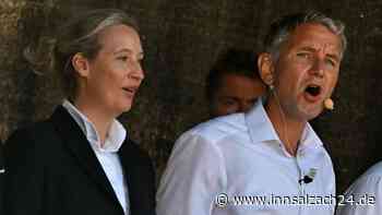 Reicht Verfassungsfeindlichkeit für ein AfD-Verbot? Das sagen Politiker aus der Region Mühldorf