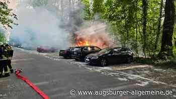 Zündelei am Augsburger Kuhsee: Brand richtet hohen Schaden an