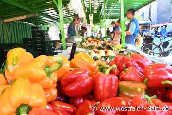 Stände in Paderborn rücken näher zusammen