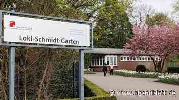 Premiere im Botanischen Garten: Erstes Sommerfestival geplant