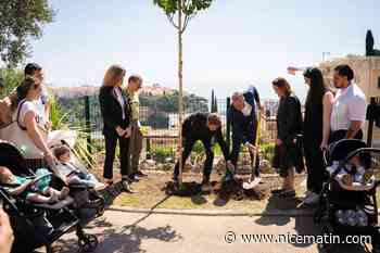 Monaco va planter 721 arbres dans la vallée de l’Esteron