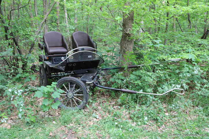 Twee gewonden bij ongeval met paard en wagen