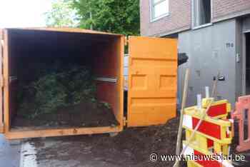 Cannabisplantage opgerold in leegstand pand op Elzeelsesteenweg