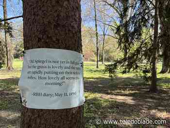 Tree signs offer insights into life at President Hayes' estate