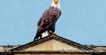 Why Universities Deserve Special Standing In Our Culture