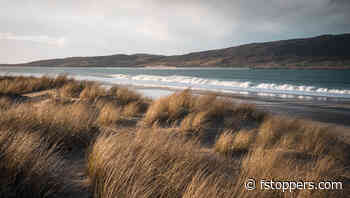 Why Aperture Priority Could Improve Your Photography