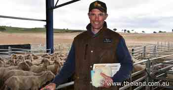 'Basics before adding sprinkles': why nutrition, condition scoring still key