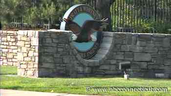 Thousands of machinists at Pratt & Whitney vote to go on strike