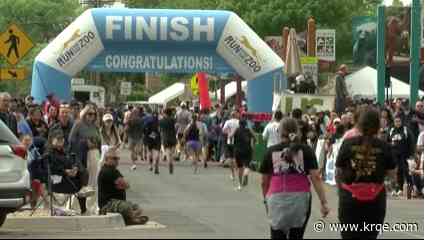 2025 Run For the Zoo in the books