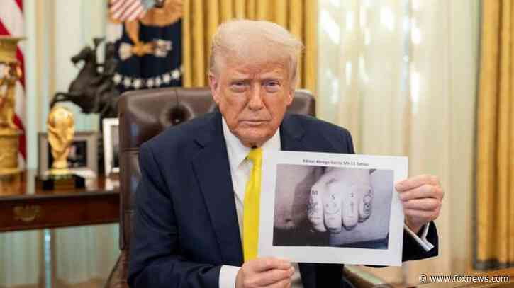 Dem immigration talking points fizzle as dark picture of Abrego Garcia emerges