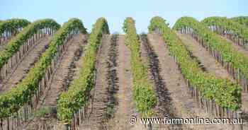 Agribusiness buzz in brief: New wine giant; Rabo skills help offer; Elders-CSU