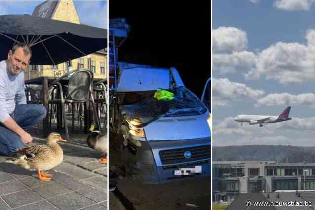 Een zware crash zonder gewonden, opvallend bezoek op de Poperingse Markt en een onderzoek naar toeristentaks in Vlaanderen: 5 niet te missen regioverhalen van het weekend