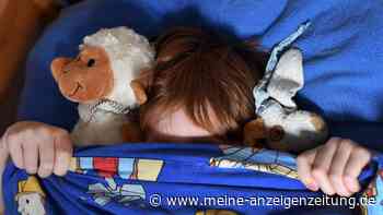 Gesundheitsgefahr lauert im Kinderzimmer: Kuscheltiere laut Studie dreckiger als „ein Toilettensitz“