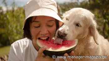 Strategien für Win-Win-Situationen bei Verhandlungen: Mit welchen Tricks Sie das Beste herausholen