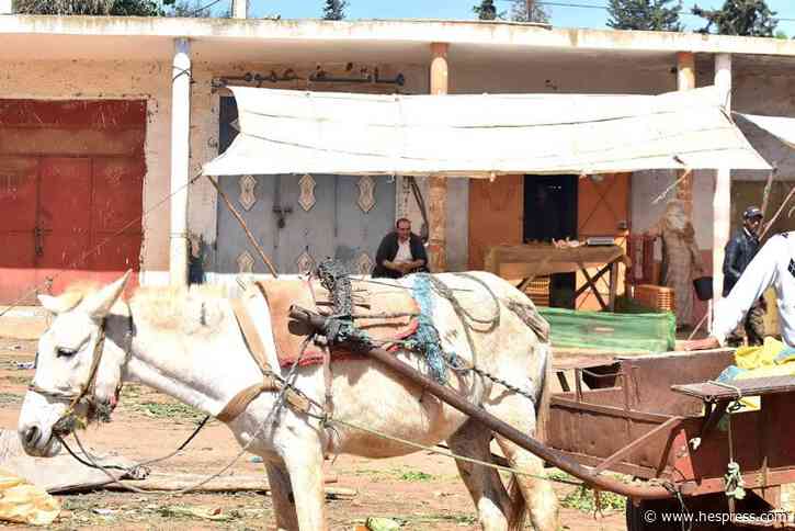 "عدالة" يتهم لوبي الريع بالخميسات