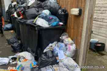 'Our rubbish wasn't collected for 5 weeks in Croydon, we were told to wait 5 more'