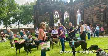 Greyhounds to take over Wirral site for special event