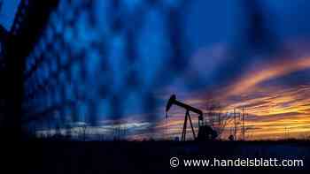 Opec plus: Ölpreise fallen nach Opec-plus-Entscheid