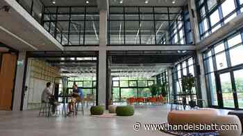 Investoren : Trumps Handelspolitik trübt die Zukunftsaussichten der Wagniskapitalinvestoren